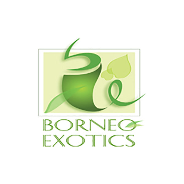 Brand: Borneo Exotics