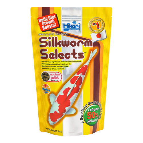 Sélection de vers à soie Hikari (produit sur commande spéciale)