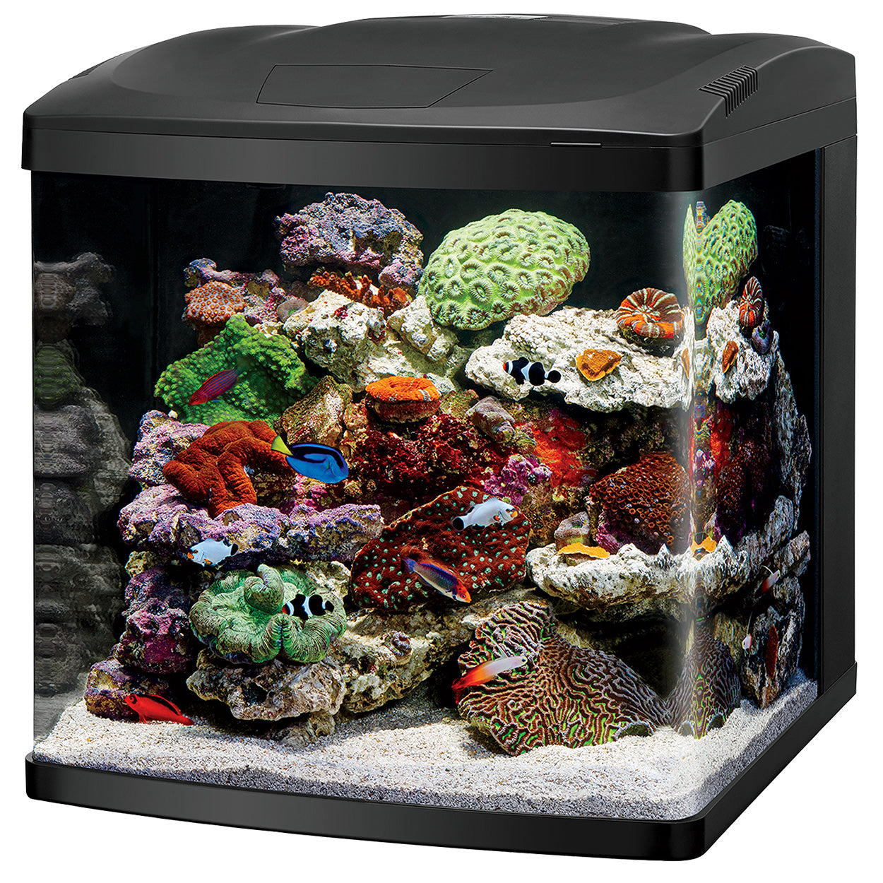 Coralife LED BioCube (Special Order Product)