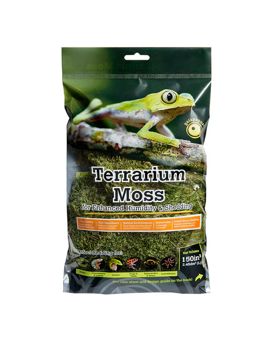 Mousse d'oreiller des Galapagos - Vert frais