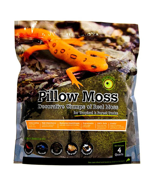 Mousse d'oreiller des Galapagos - Vert frais