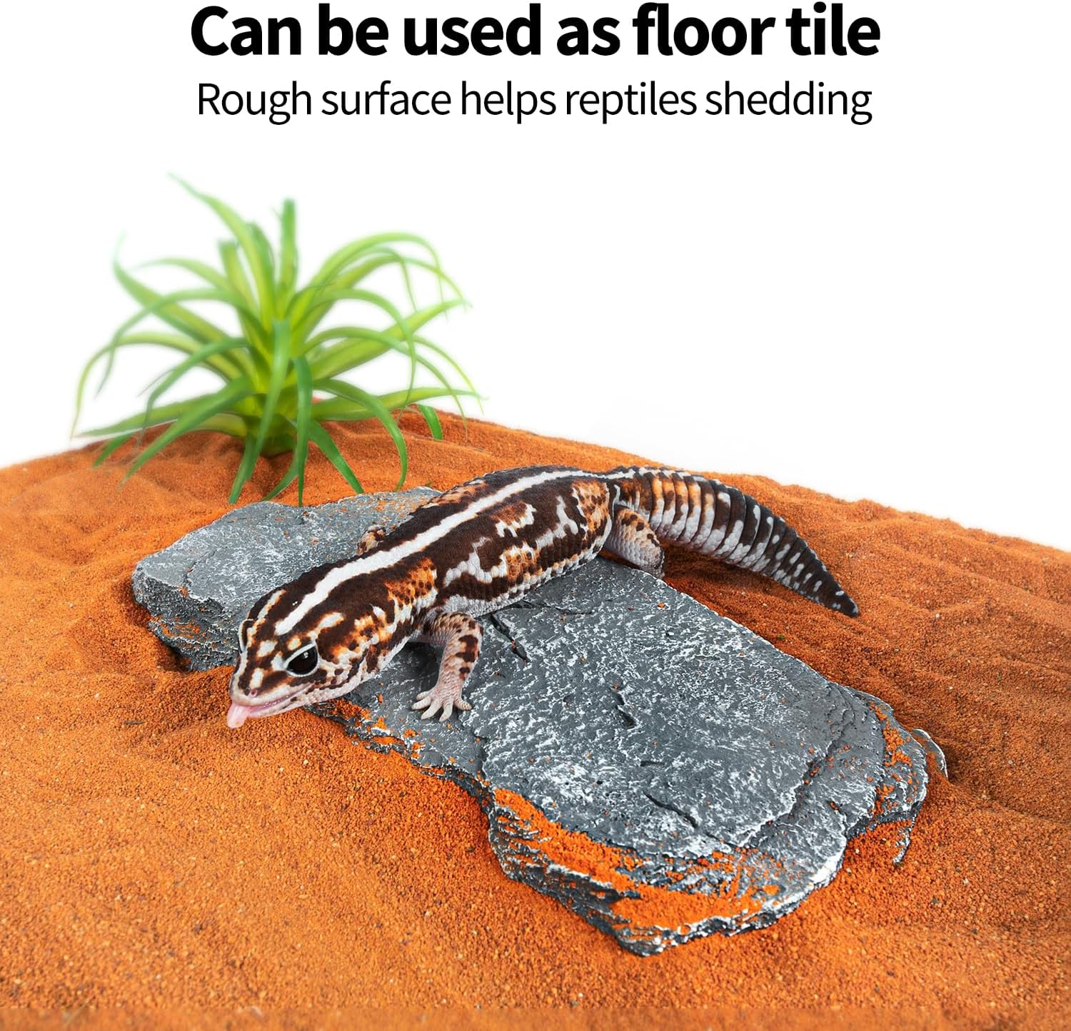 Pierres d'ardoise multifonctions ReptZoo (7 pièces)