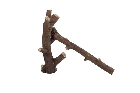 Branches modulaires ReptiZoo Build-N-Bask