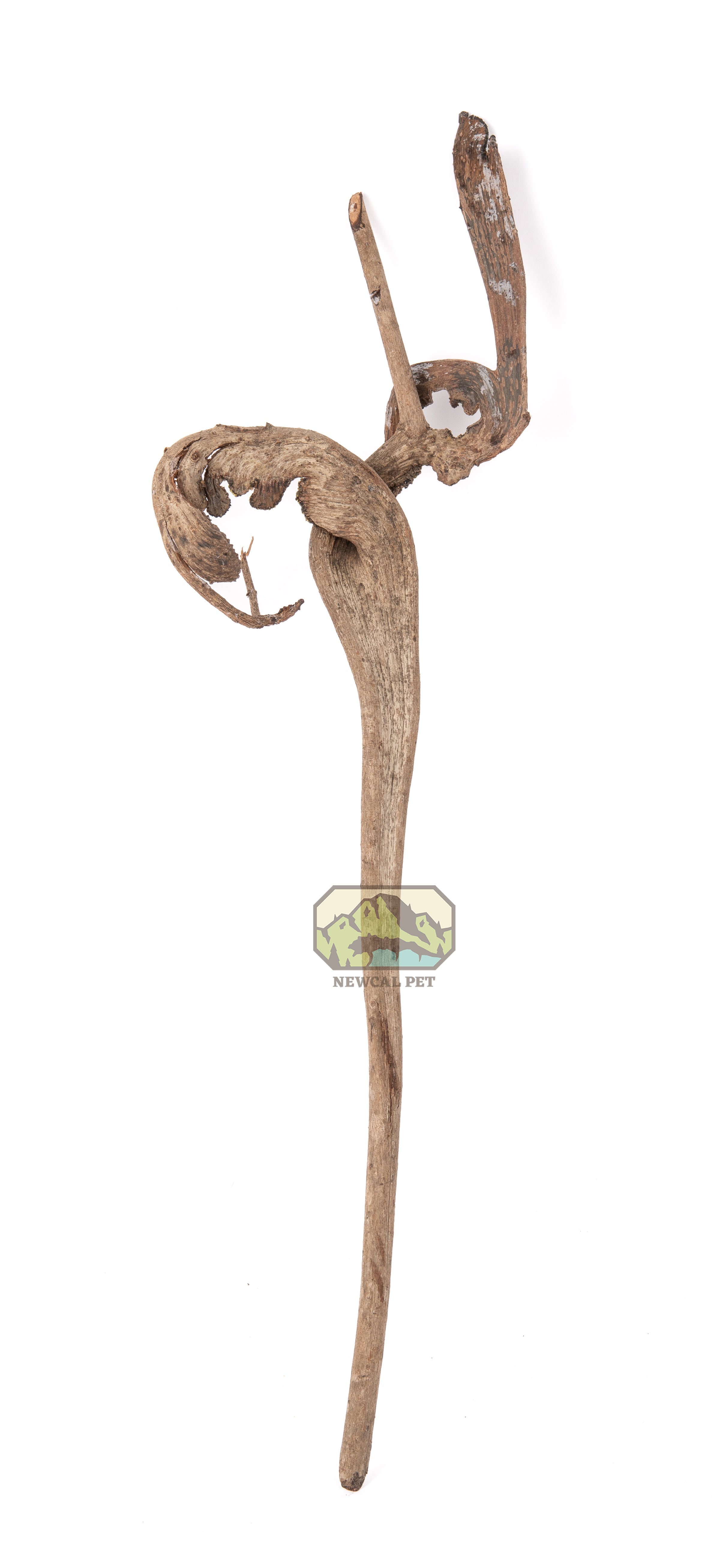 NewCal Natraj Wood 18-24"