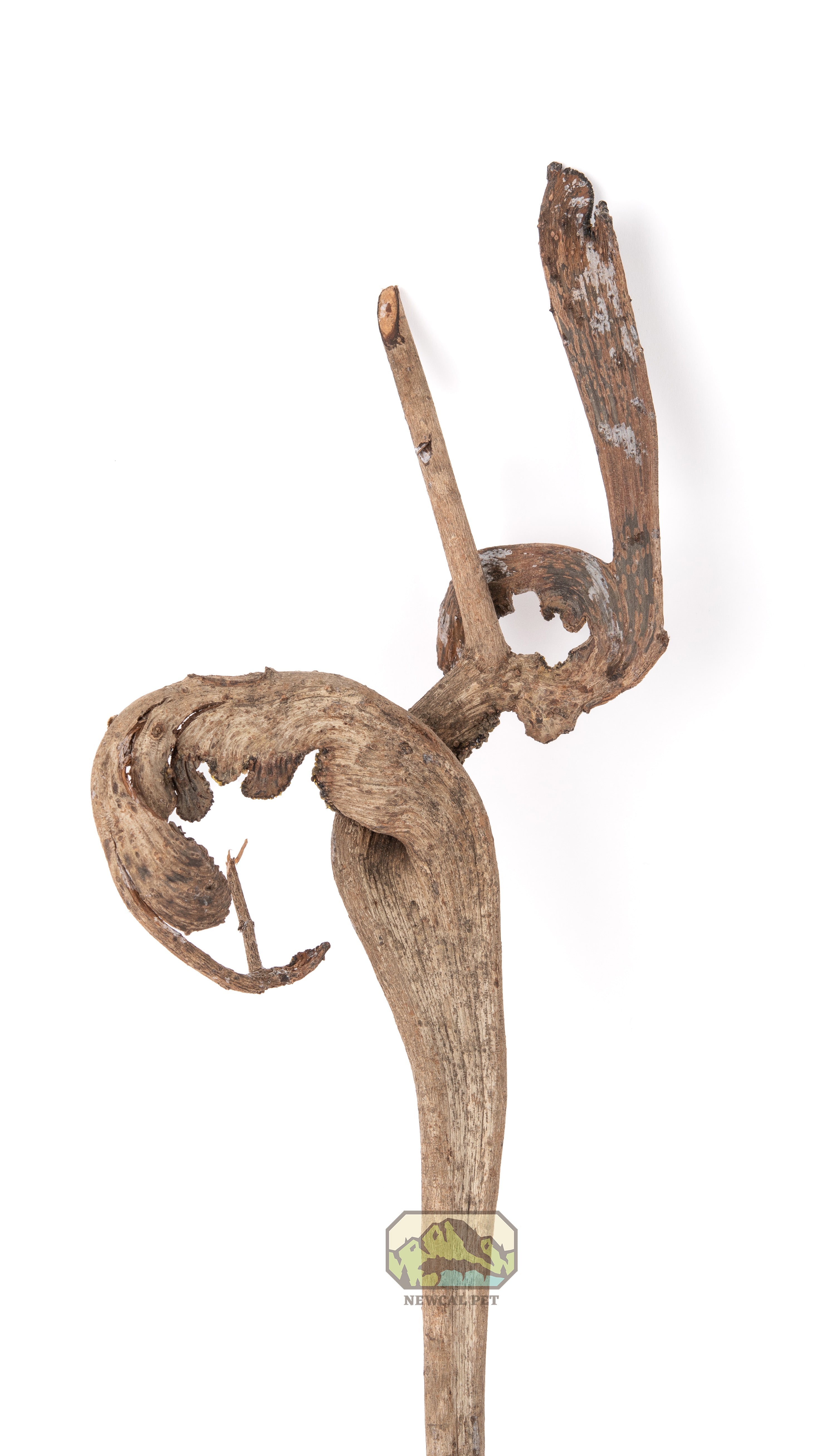 NewCal Natraj Wood 18-24"