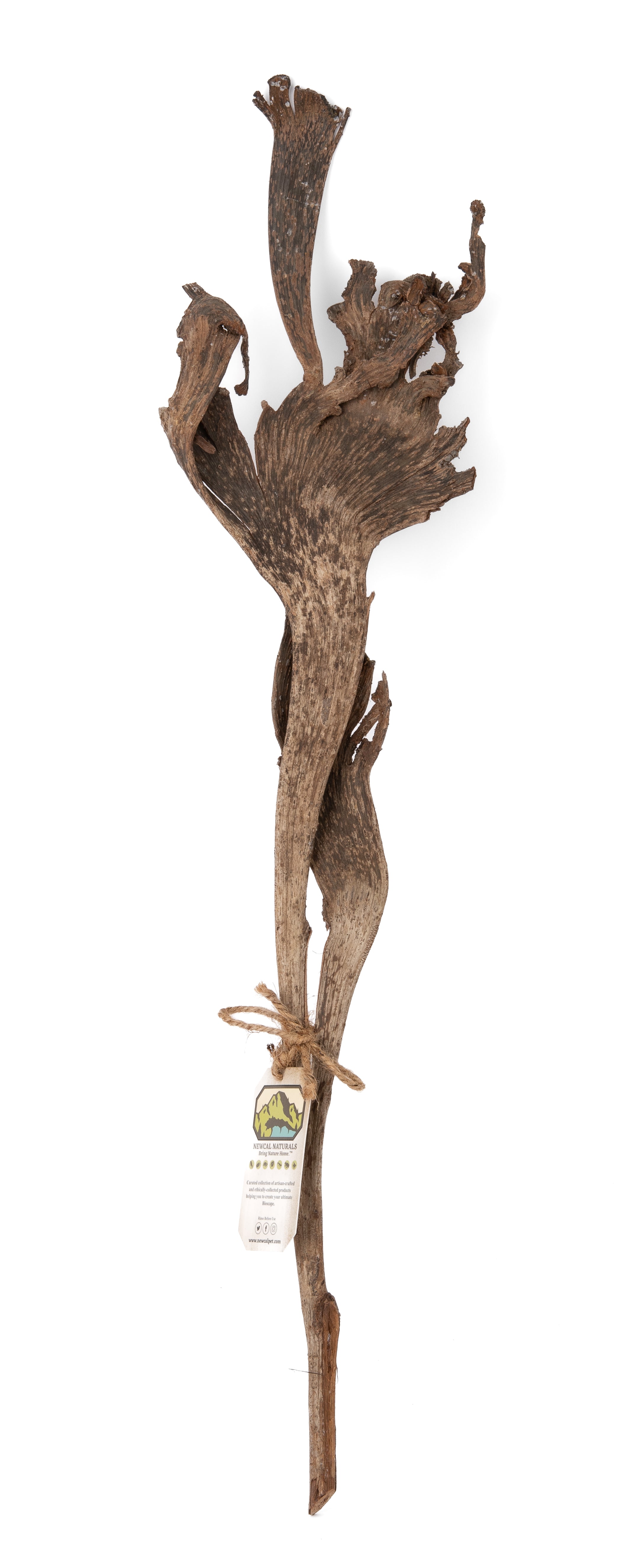 NewCal Natraj Wood 18-24"