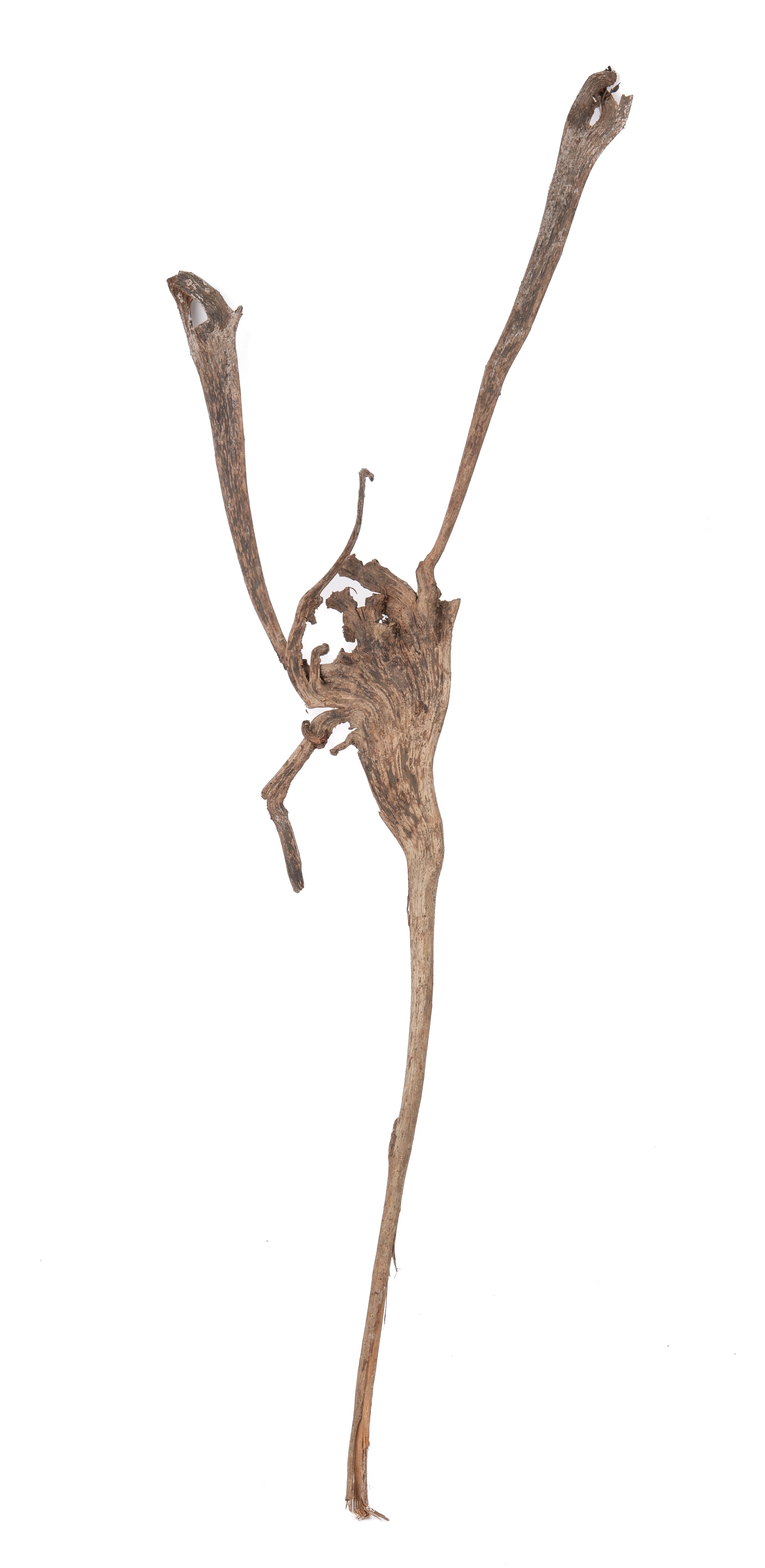 NewCal Natraj Wood 18-24"