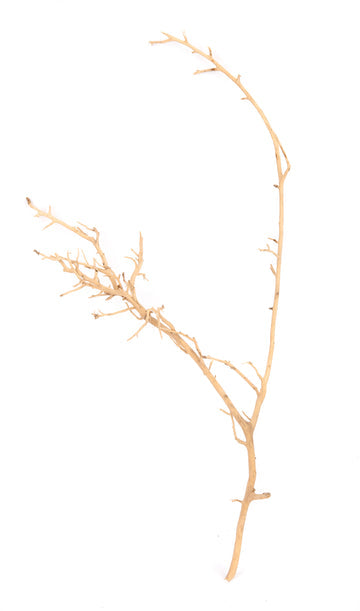 NewCal Nerve Wood 10-18”