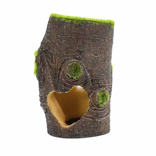 Ornement en résine pour base d'arbre Aqua-Floras de Penn Plax