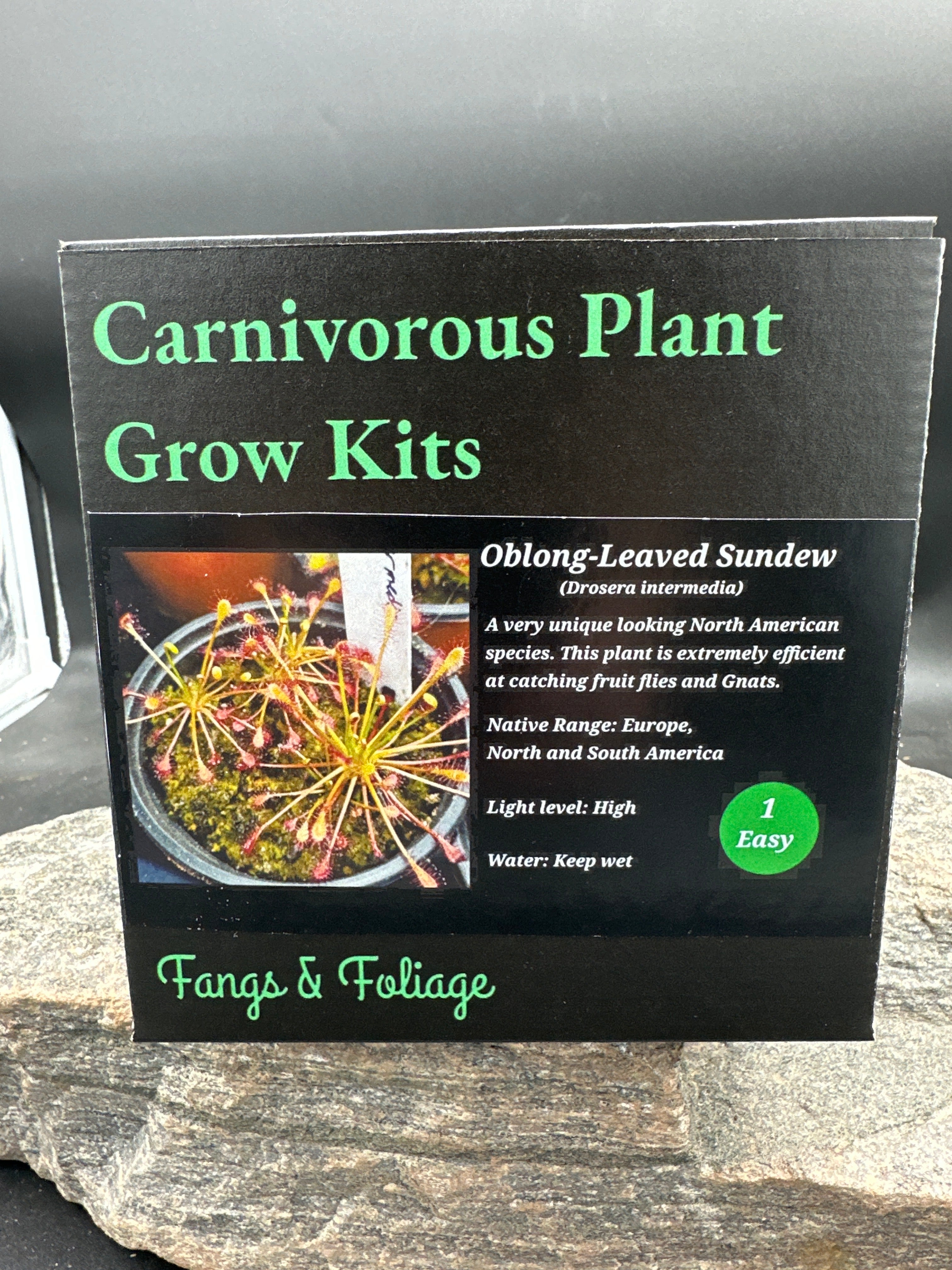Kit de culture de plantes carnivores