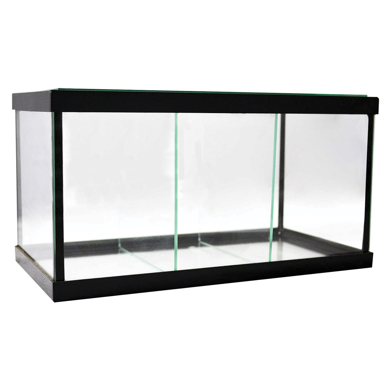 Seapora Betta Aquarium (Special Order Product)