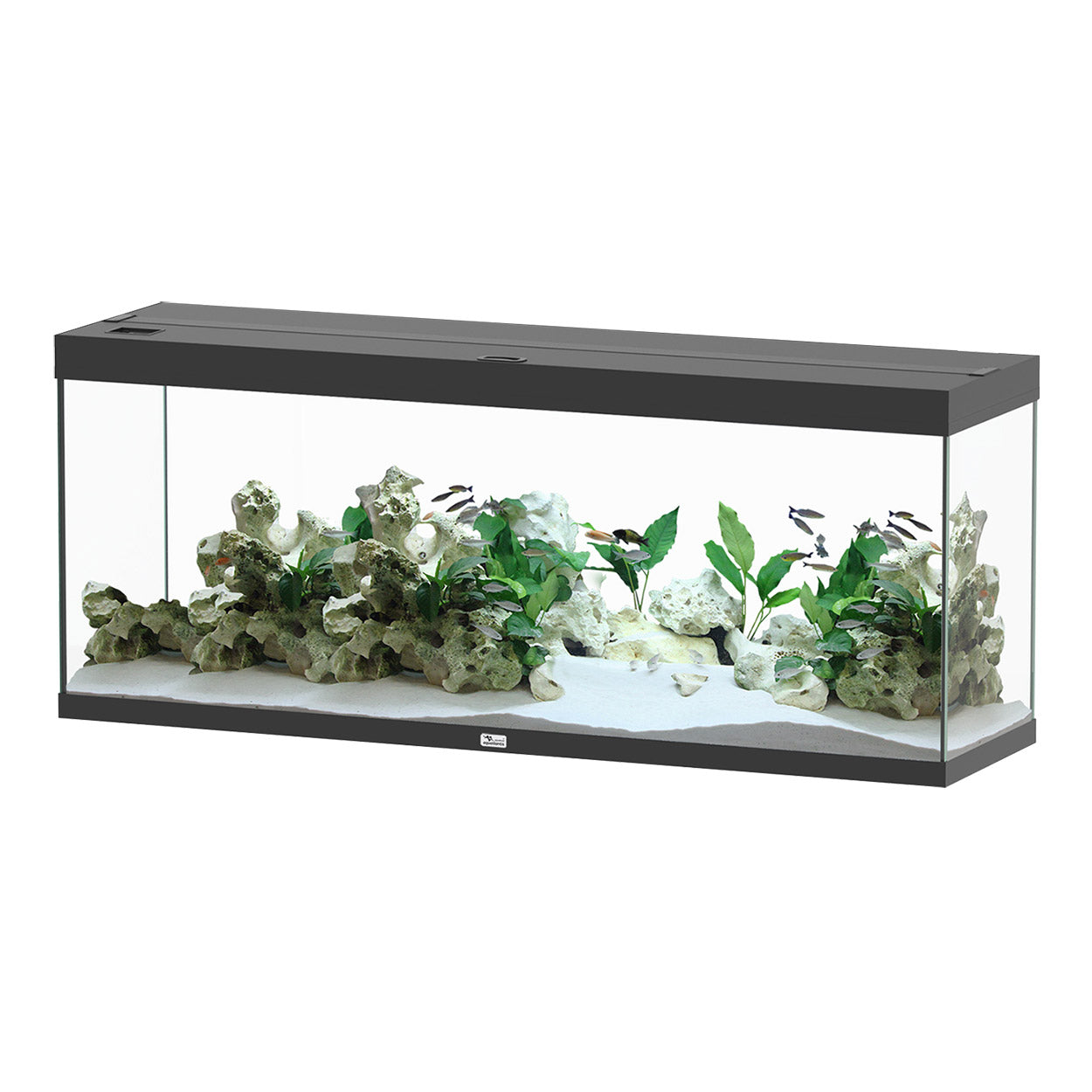 Aquarium Aquatlantis Splendid 150 150 x 40 x 60 cm - 3 couleurs (sur commande)