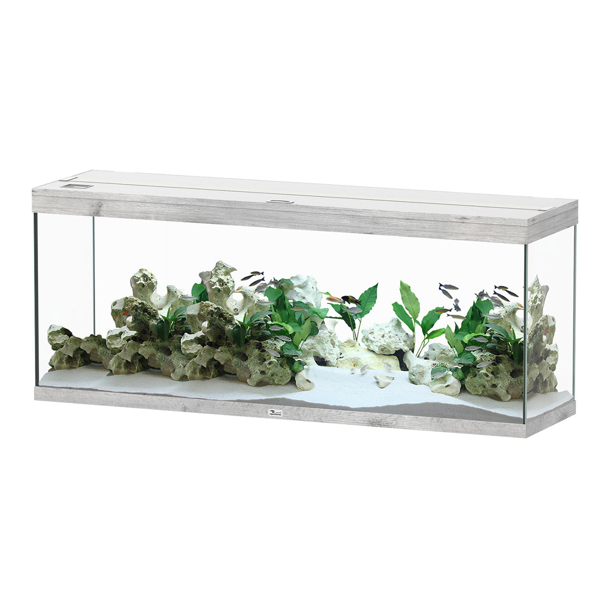 Aquatlantis Splendid 150 Aquarium 59" x 16" x 24" - 3 Colours (Special Order Product)