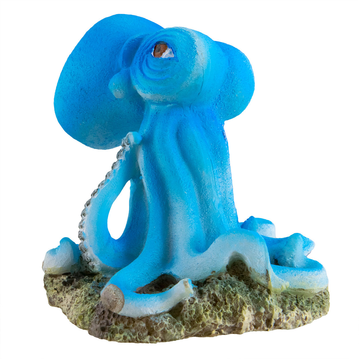 Grenouille « Interdiction de pêcher » Underwater Treasures - Petite