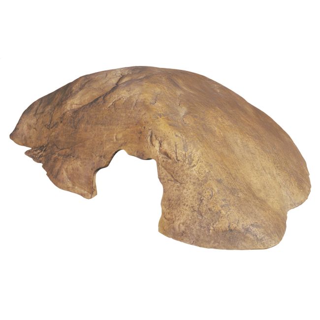 Grotte pour reptiles Exo Terra