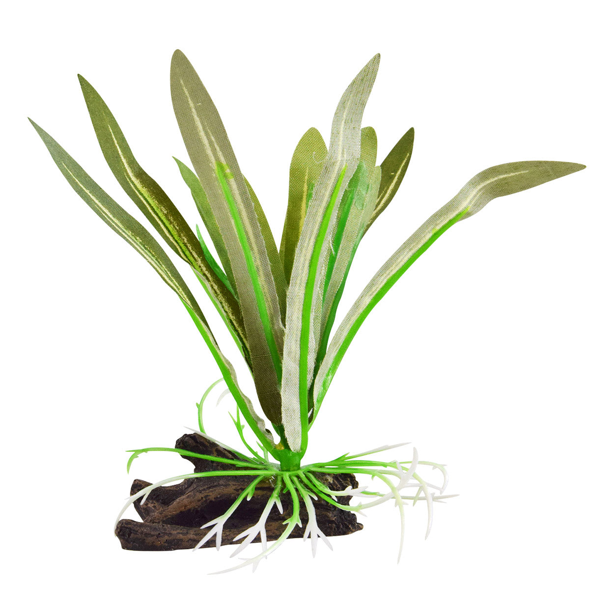 Underwater Treasures Dwarf Sagittaria