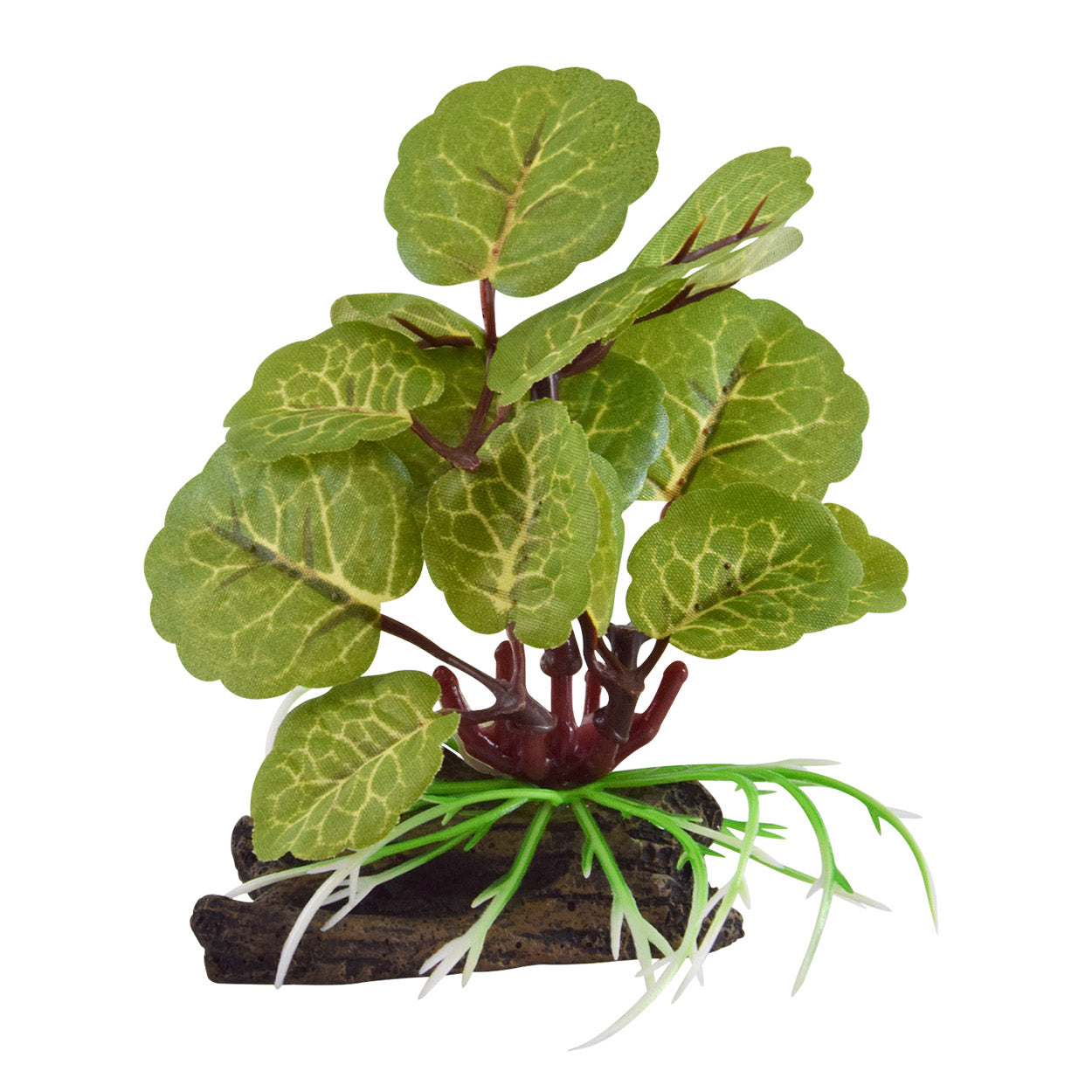 Underwater Treasures Variegated Flapjack