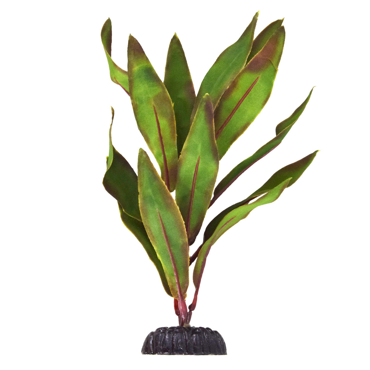 Underwater Treasures Olive Hygro