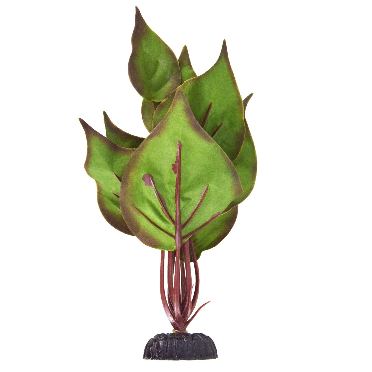 Underwater Treasures Peace Lily