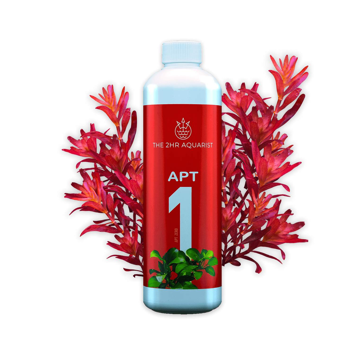 Aquariste 2 heures APT1 Zéro