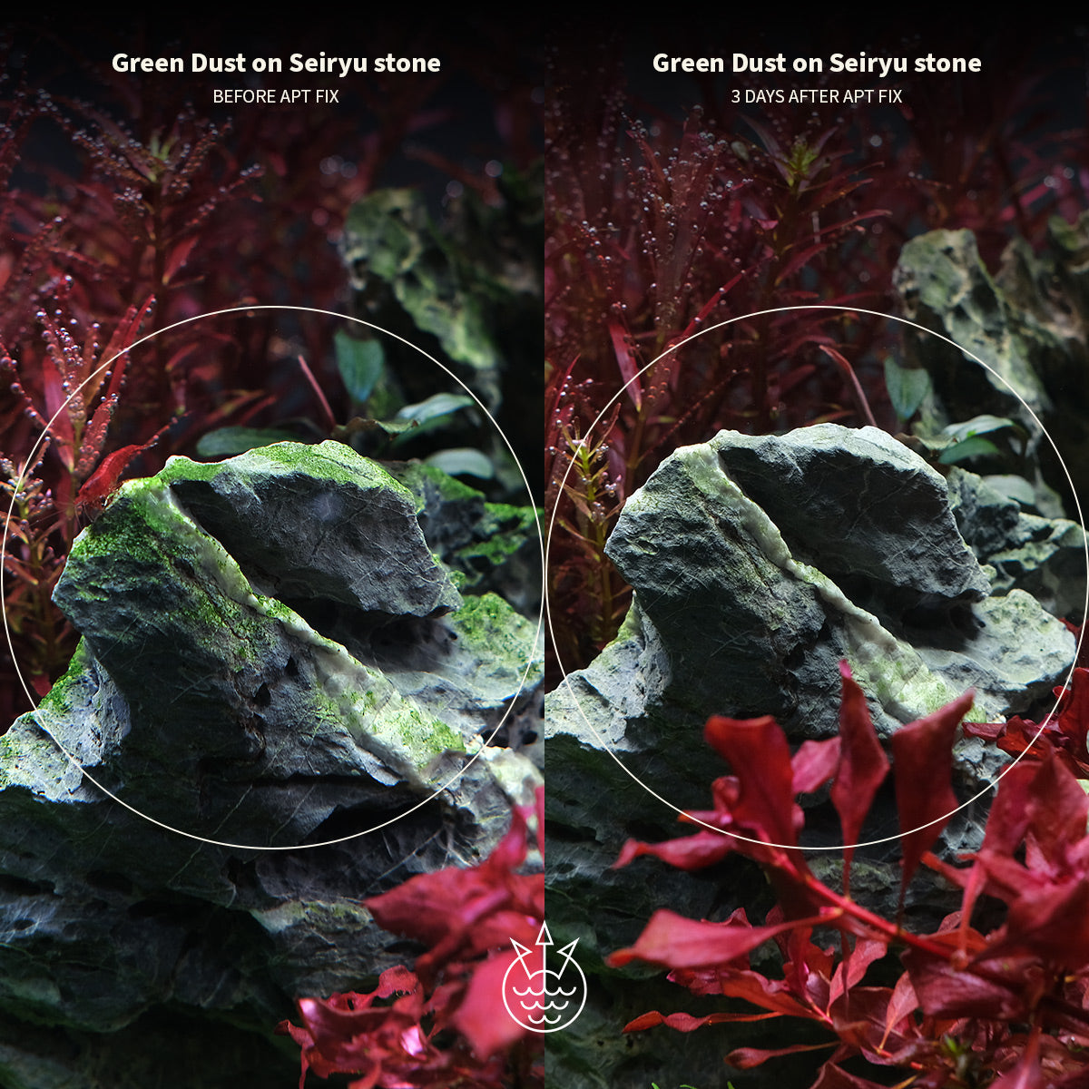 Aquarist APT F Fix 2 heures