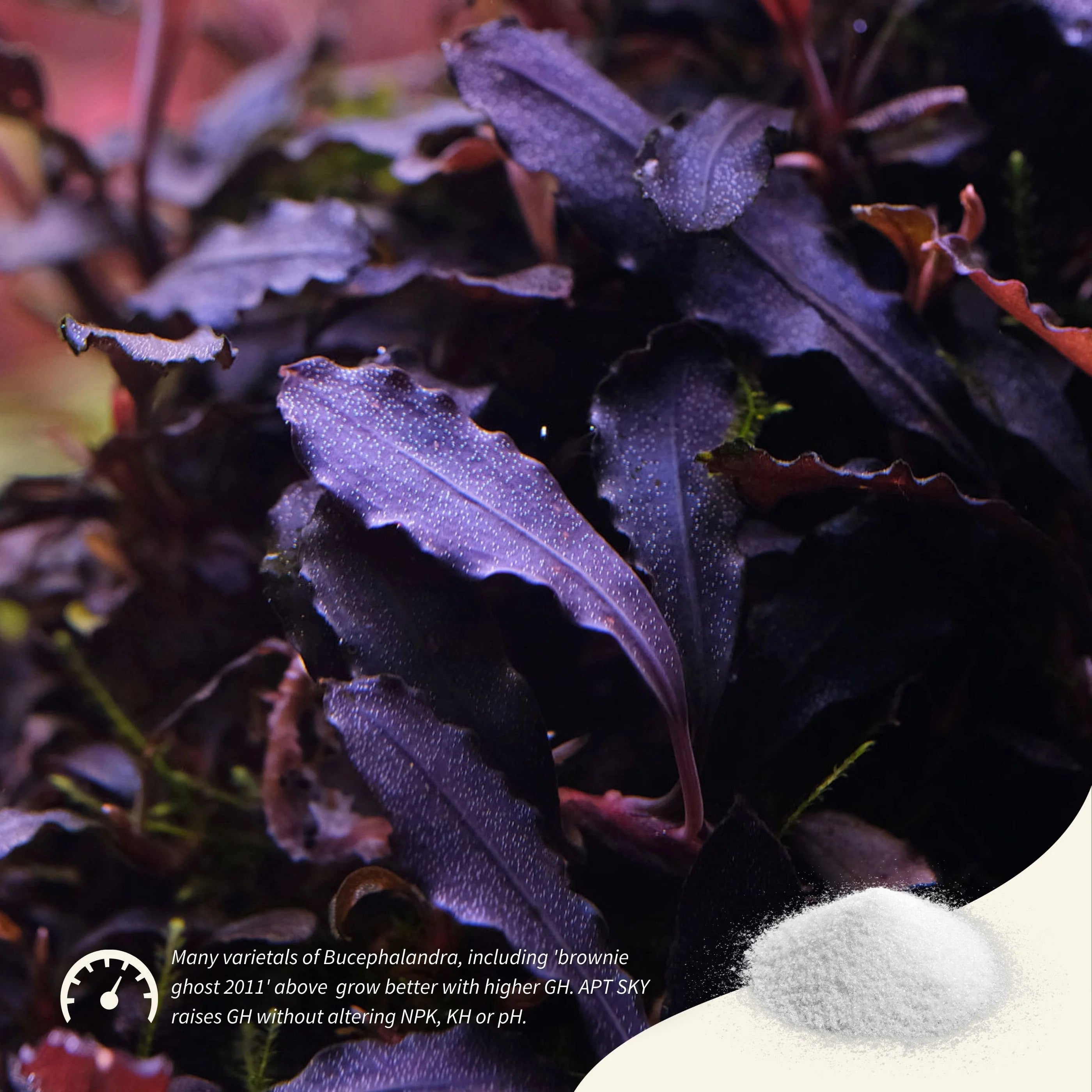 Aquarist APT Sky 2HR - Reminéralisant