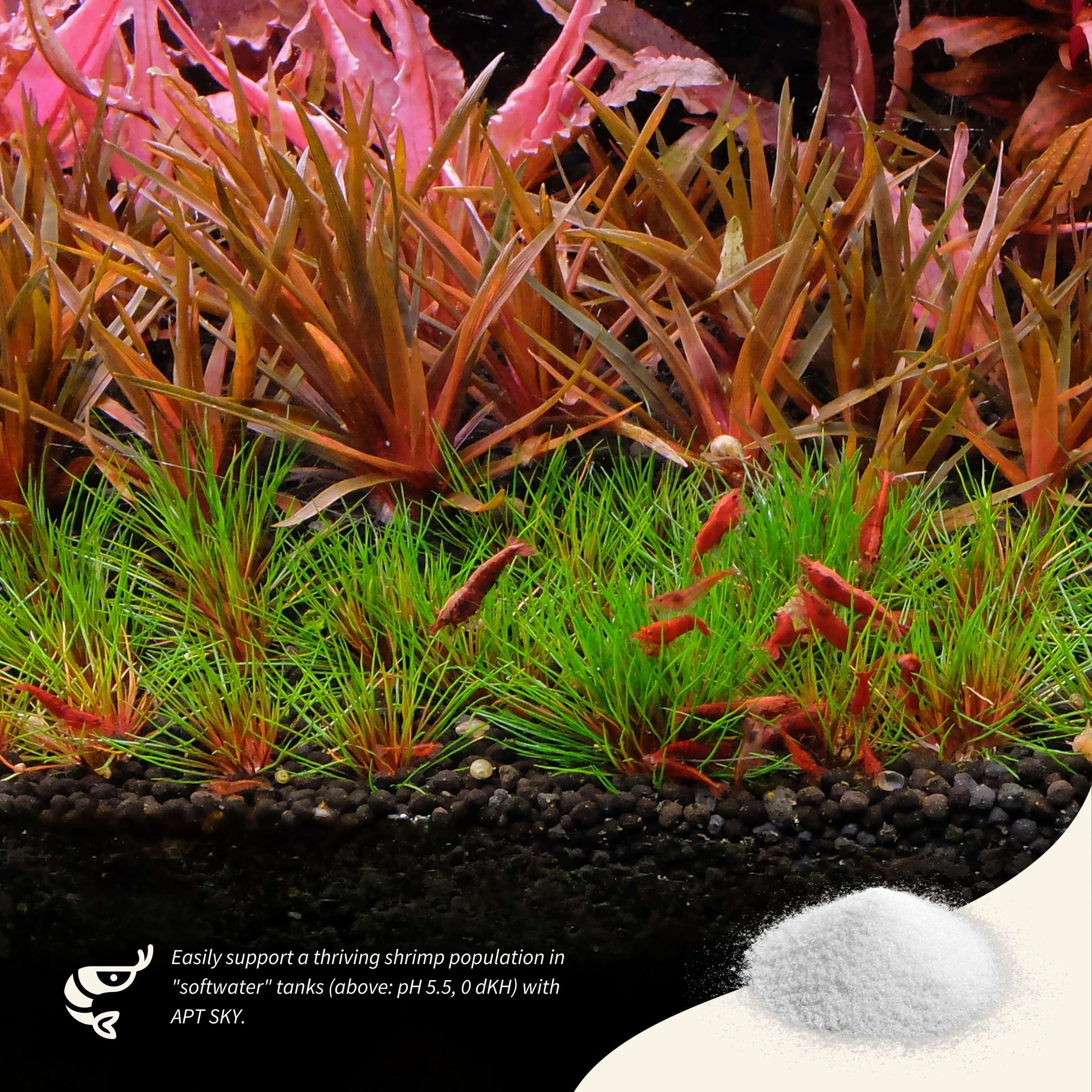 Aquarist APT Sky 2HR - Reminéralisant