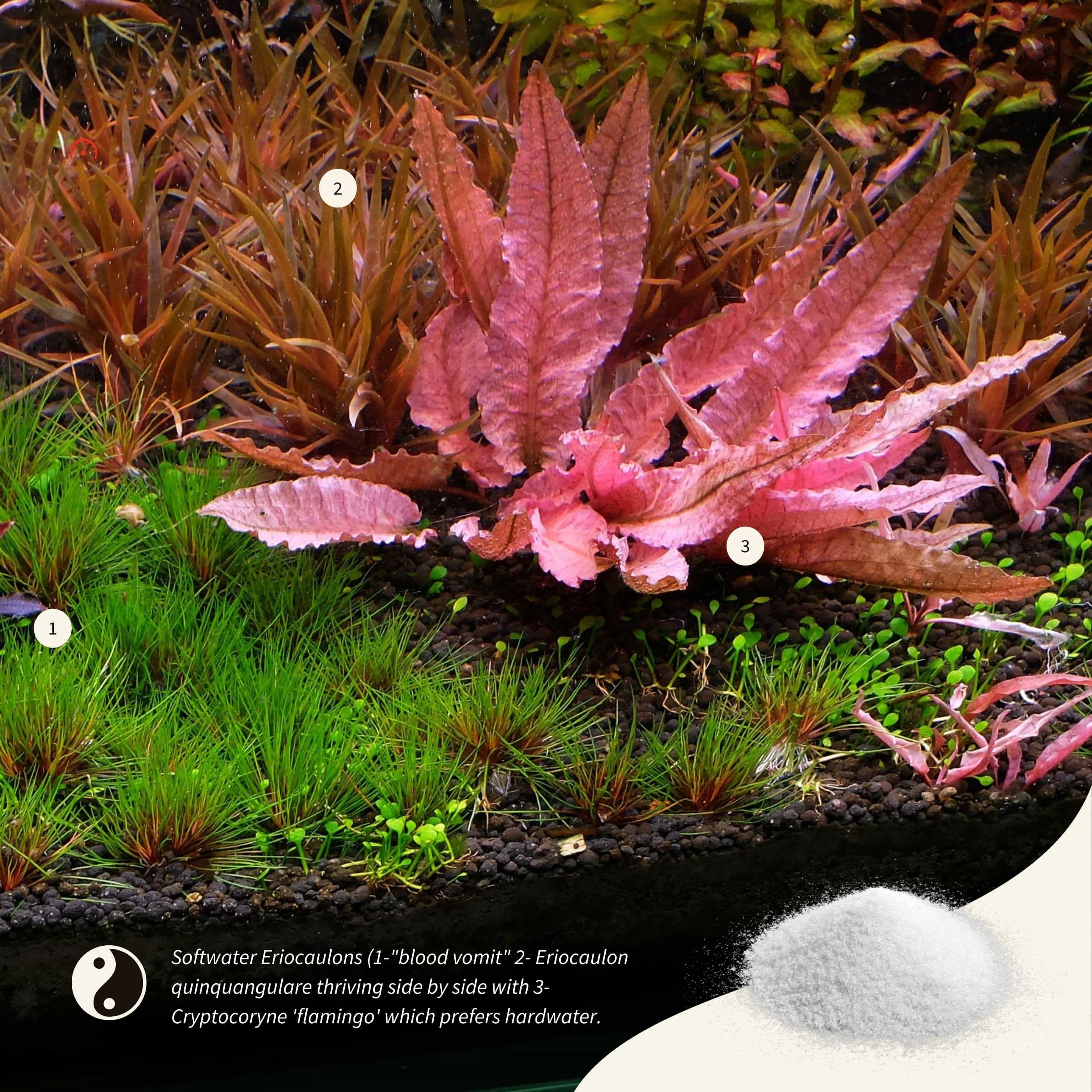 Aquarist APT Sky 2HR - Reminéralisant