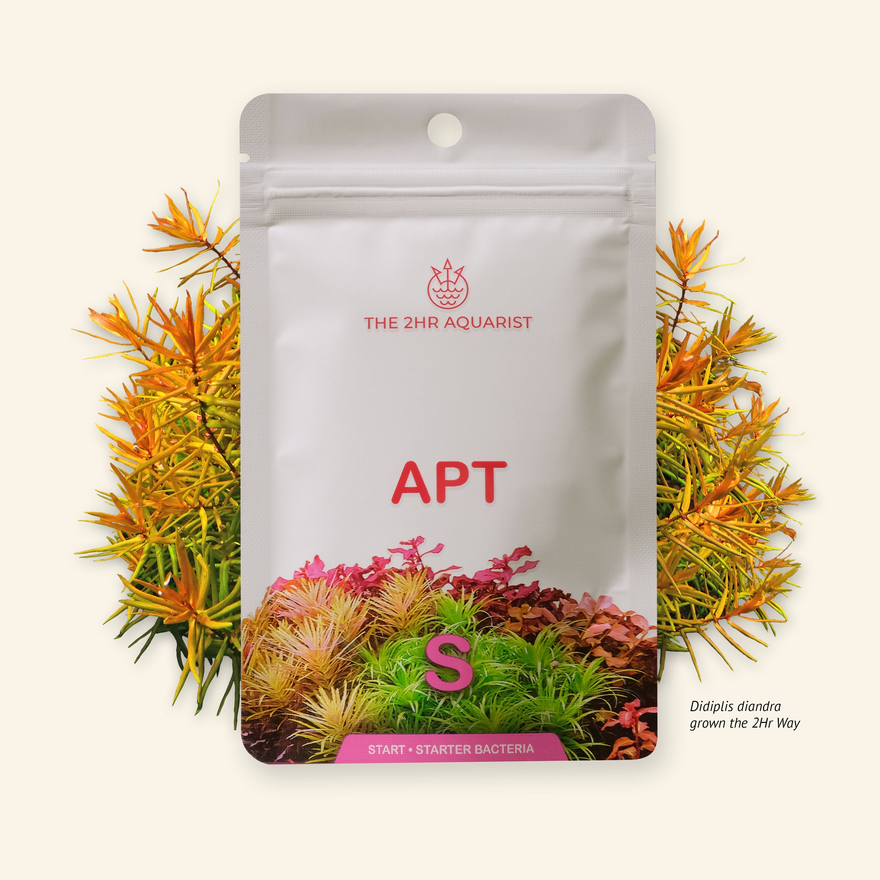 Aquarist APT Start 2 heures 45 g