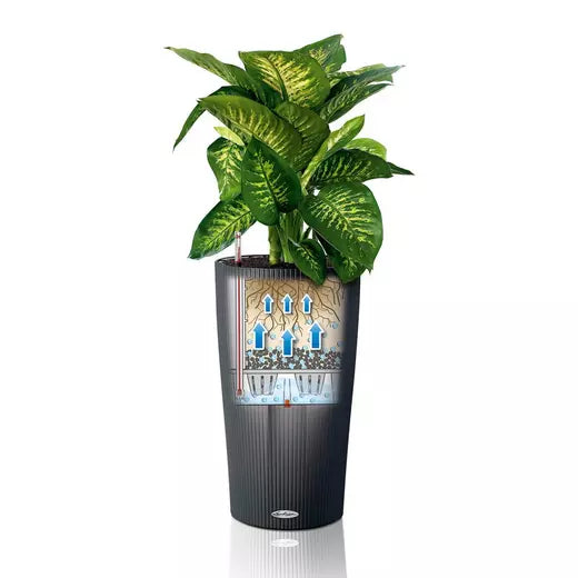 Pot auto-arrosant Lechuza Cilindro 23