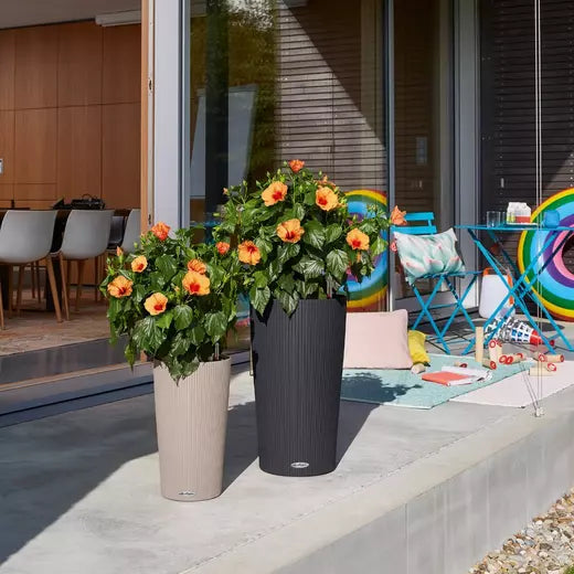 Pot auto-arrosant Lechuza Cilindro 23