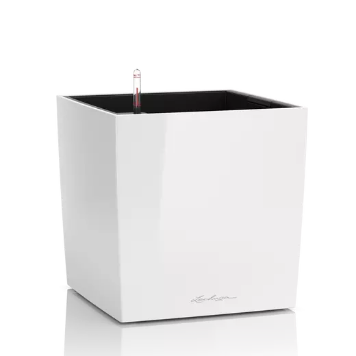 Pot auto-arrosant Lechuza Cube 50