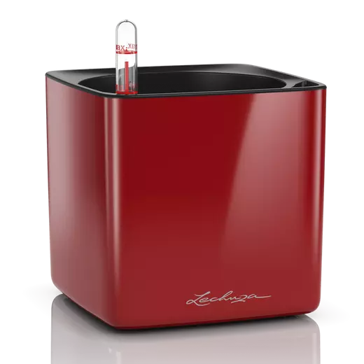 Pot auto-arrosant Lechuza Cube Glossy 16