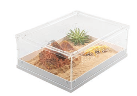 Enclos en acrylique ReptiZoo (18 tailles et styles)