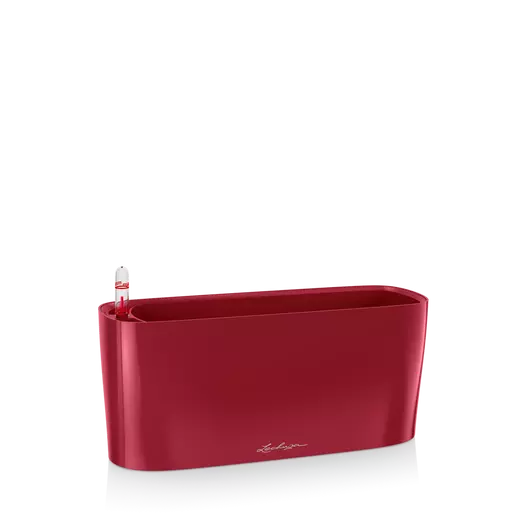 Pot à arrosage automatique Lechuza Delta 10