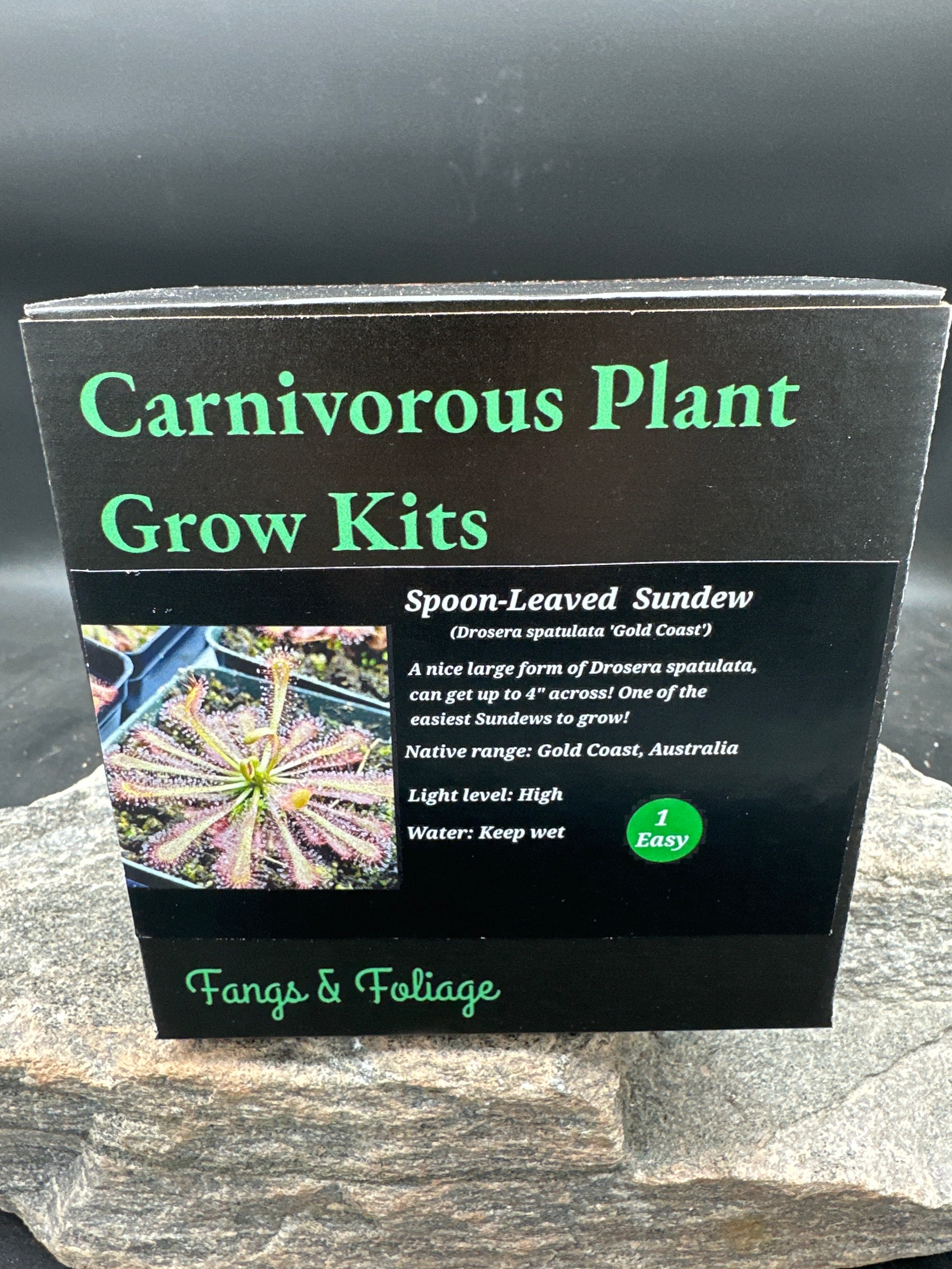 Kit de culture de plantes carnivores