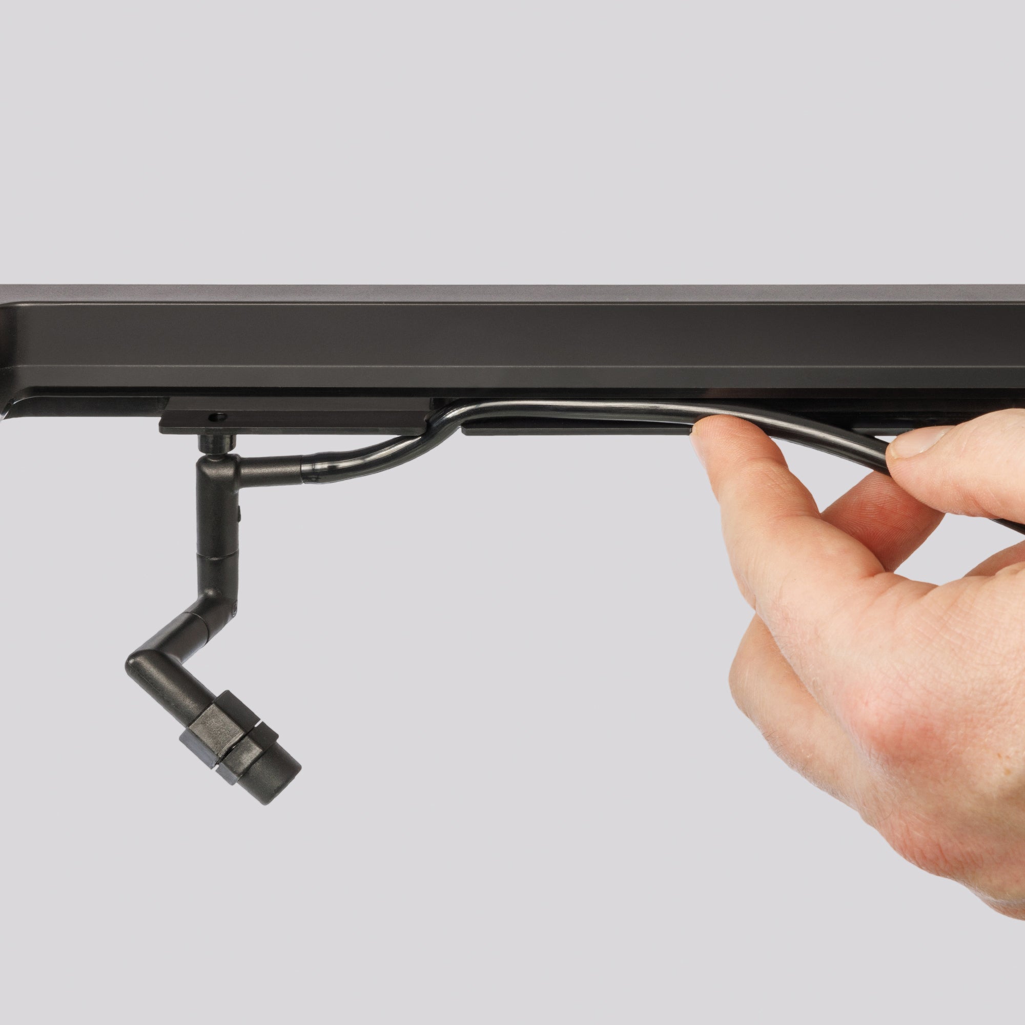 Paludarium et terrarium en verre Exo Terra Advanced - Mini très grand (12 x 12 x 24 po)