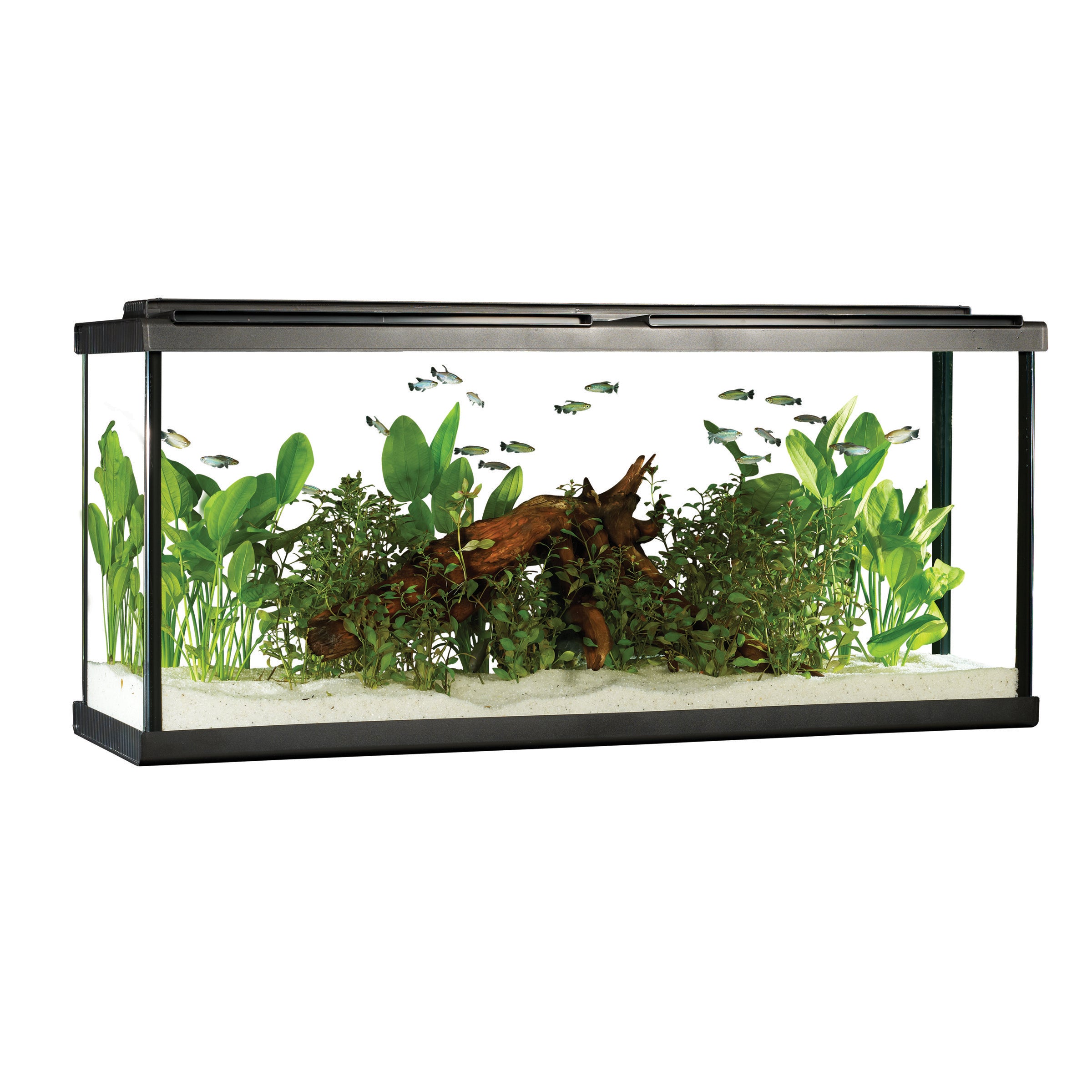 Kit d'aquarium Fluval Siena (produit sur commande spéciale)