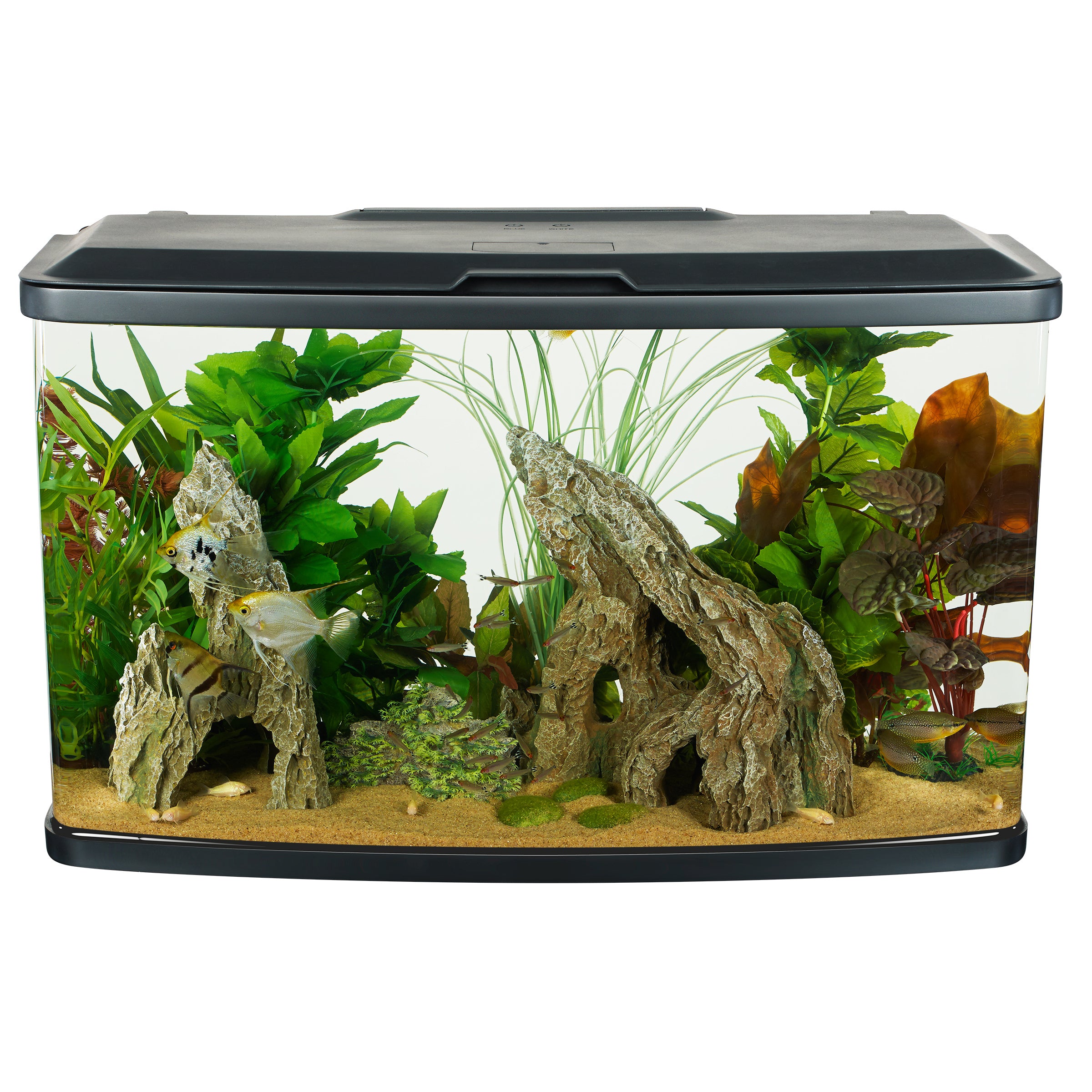 Fluval Vista Aquarium Kit 23 Gallon