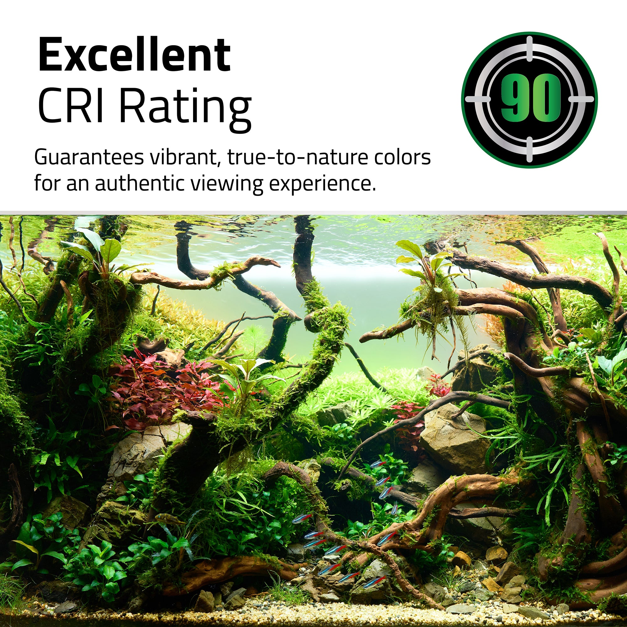 Fluval Aquasky LED avec Bluetooth