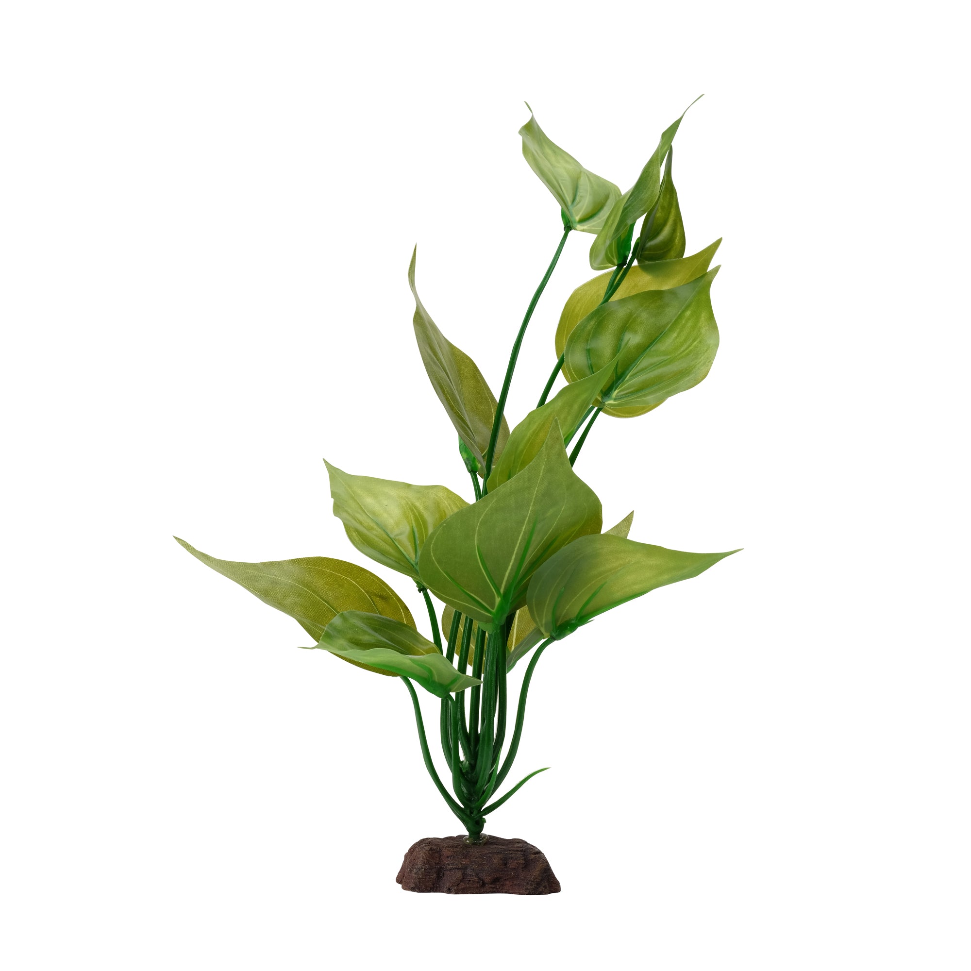 Fluval Aqualife Variegated Lizard's Tail 12"