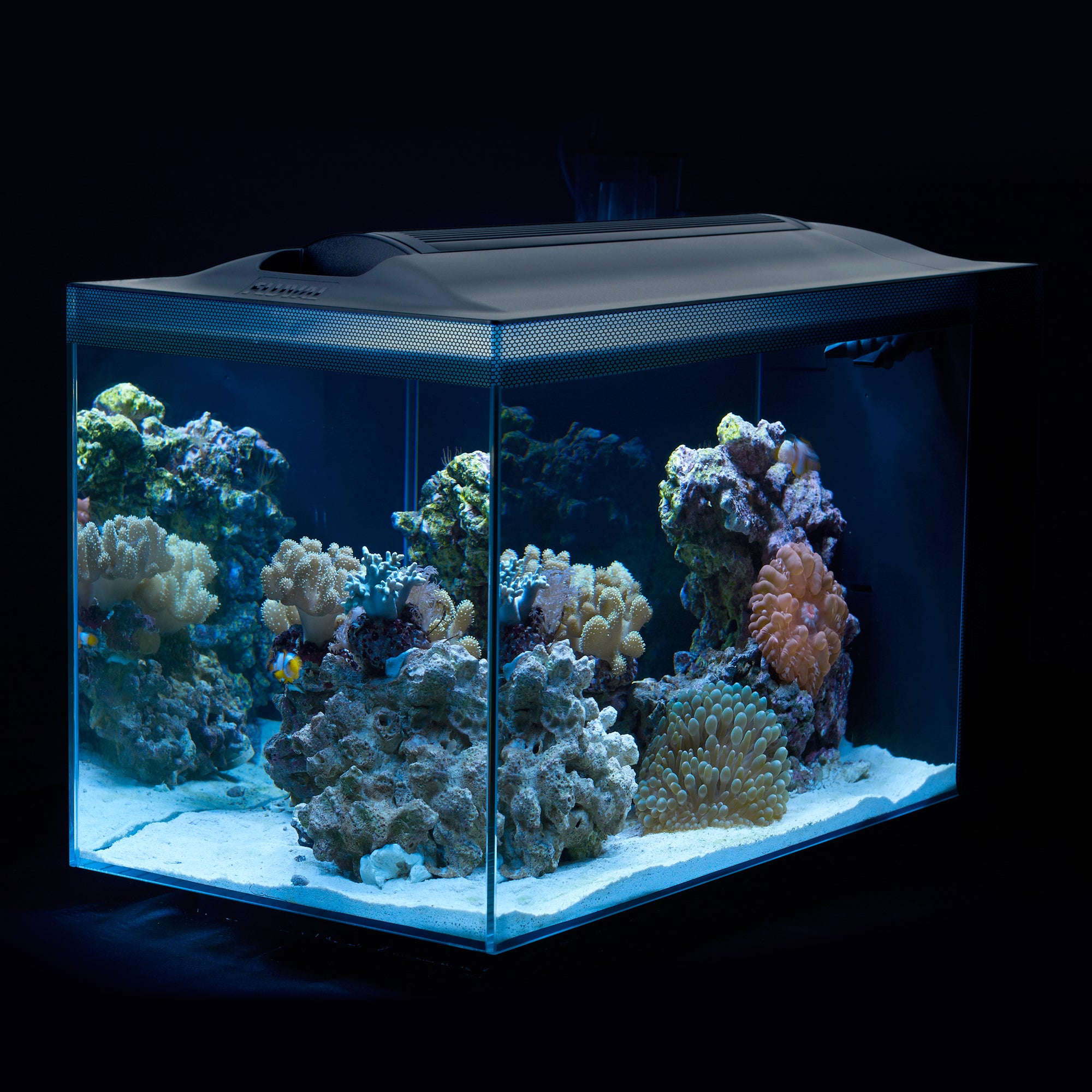 Kit d'aquarium Fluval SEA EVO (produit sur commande spéciale)