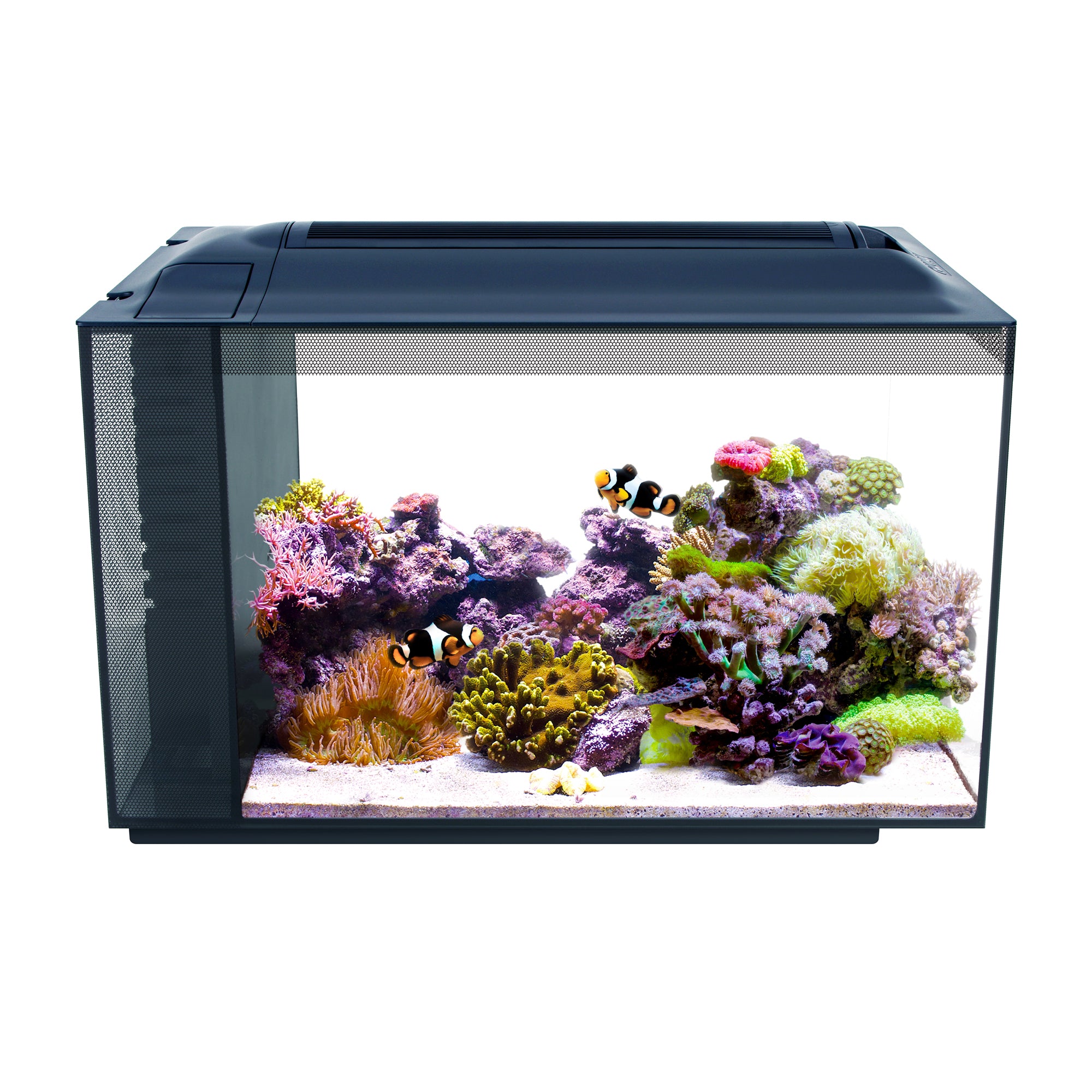 Kit d'aquarium Fluval SEA EVO (produit sur commande spéciale)