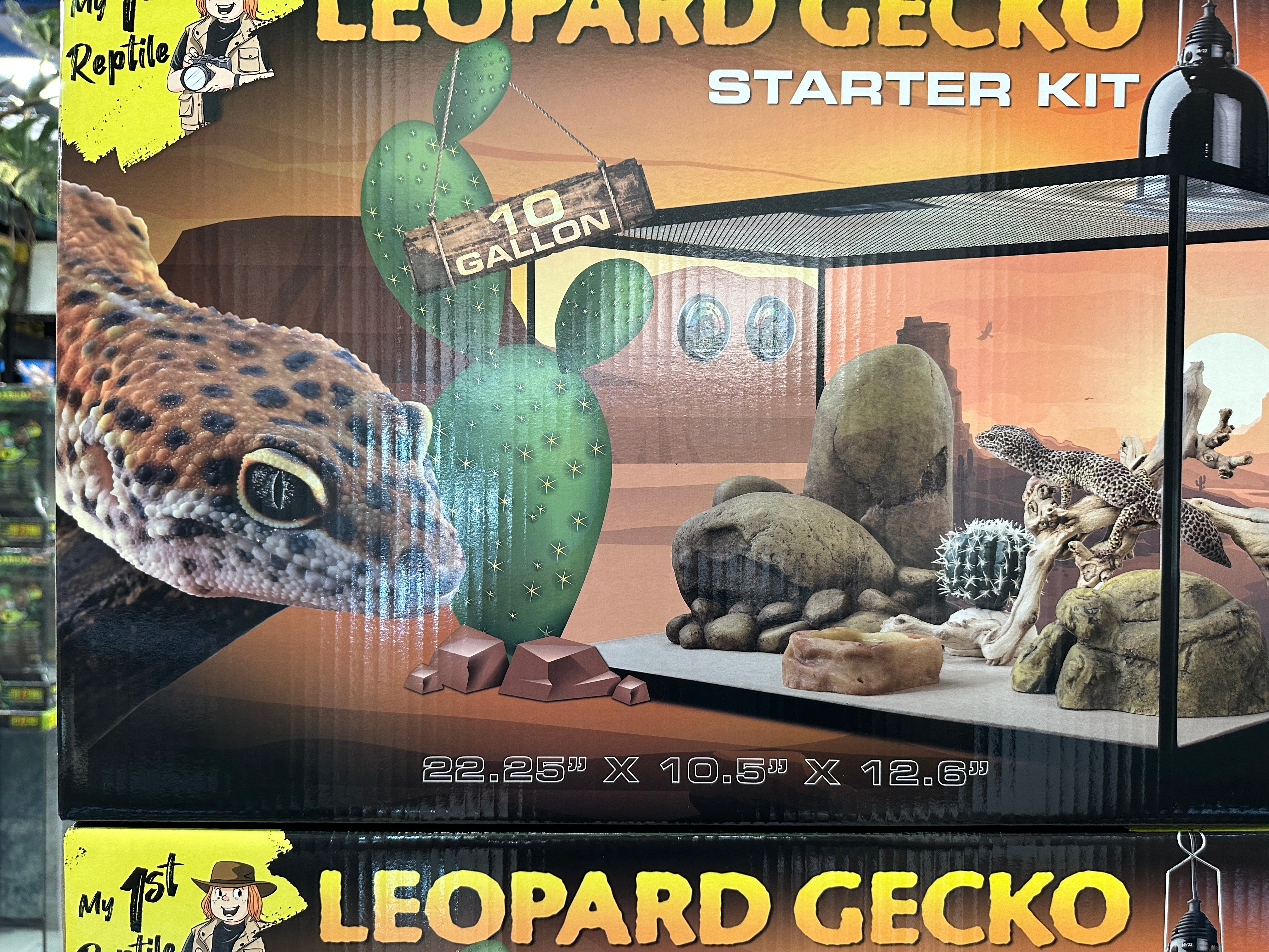 Exo Terra Basic Leopard Gecko Kit
