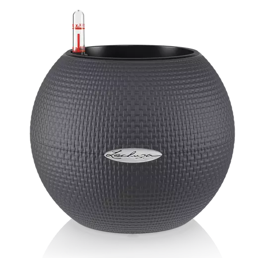 Pot auto-arrosant Lechuza Puro 20