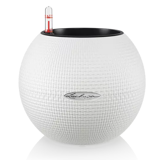 Pot auto-arrosant Lechuza Puro 20