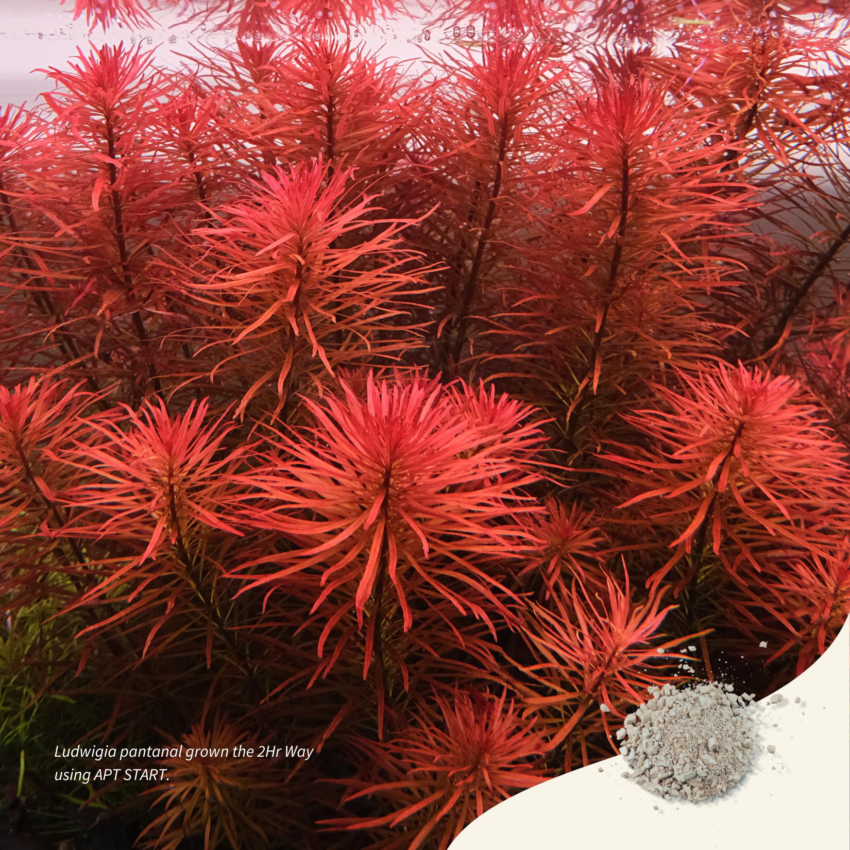 Aquarist APT Start 2 heures 45 g