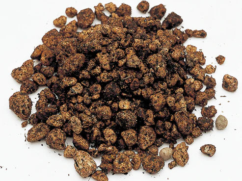 Sable électrique ADA de base S