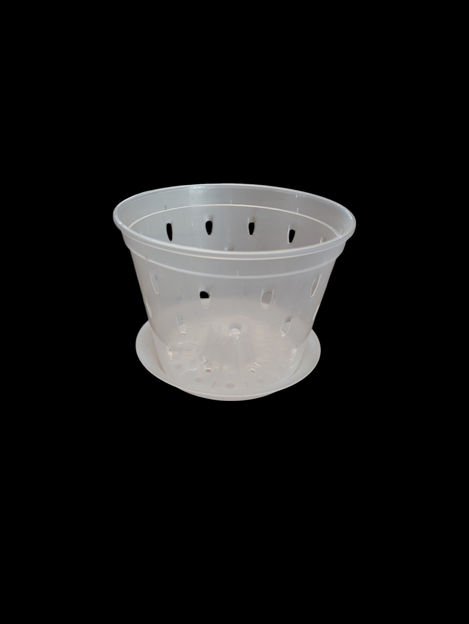 Pot d'orchidée transparent