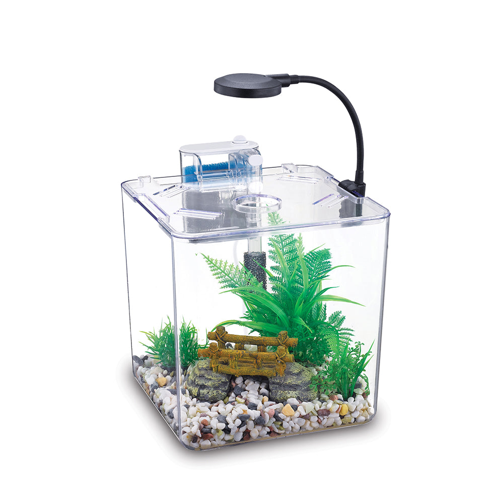Kit d'aquarium BettaBow 1 - 1 gal